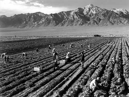 workers