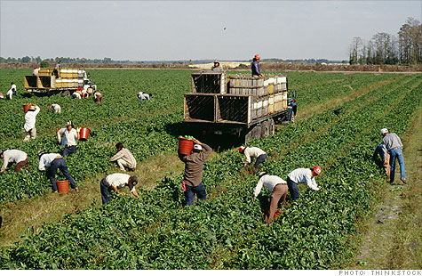 migrant