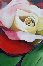 rose