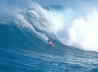 surf