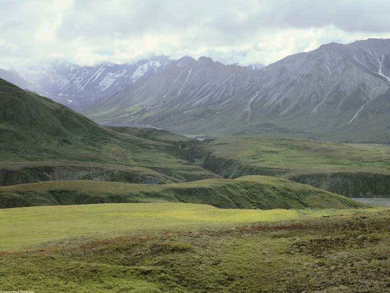 anwr