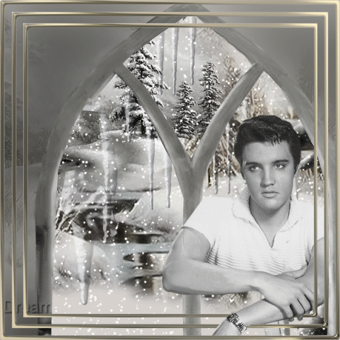 elvis
