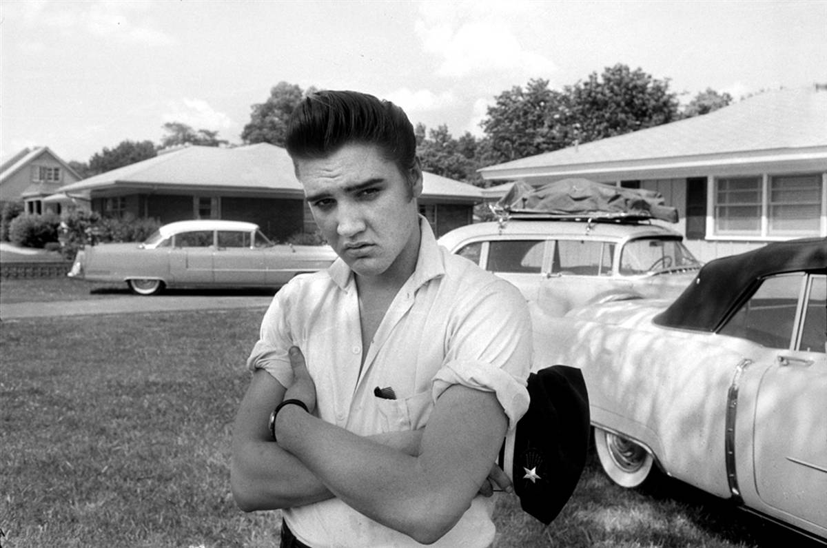 elvis