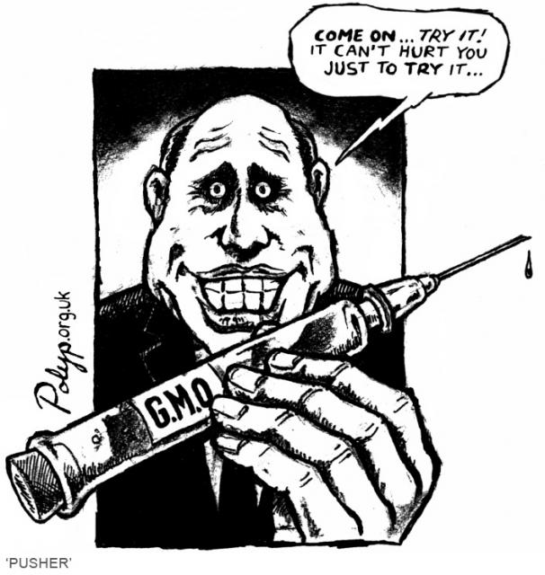 gmo