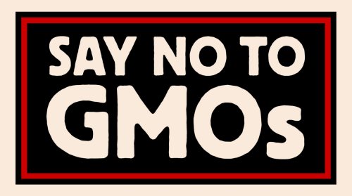 gmo no