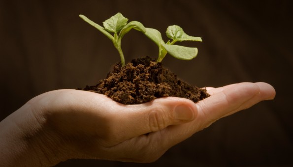 sustainable agriculture