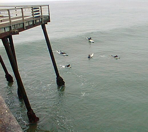 pismo