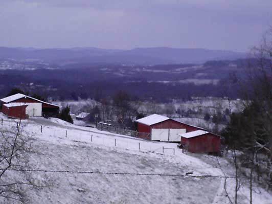byrdstown 2007