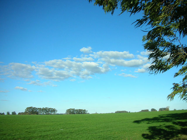 farmland