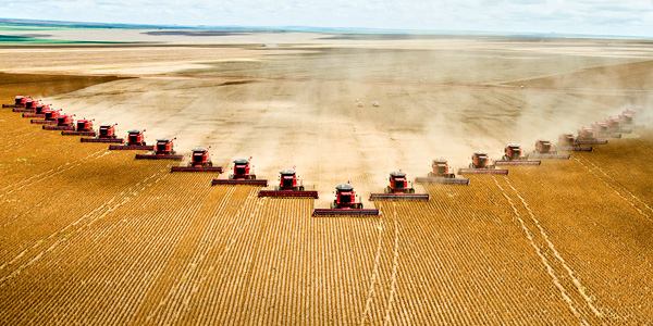 farmer