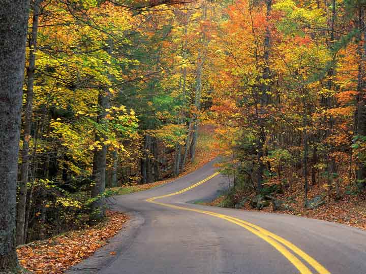 autumn