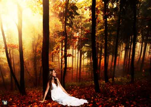 autumn
