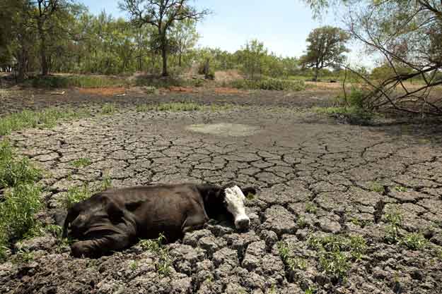 drought