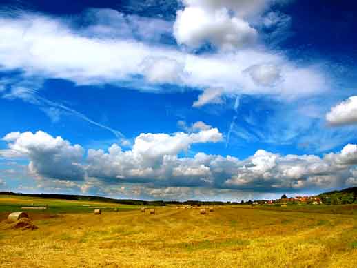 farmland