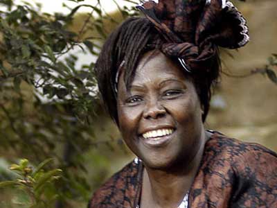 wangari