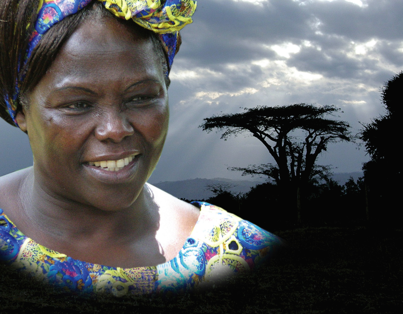 wangari