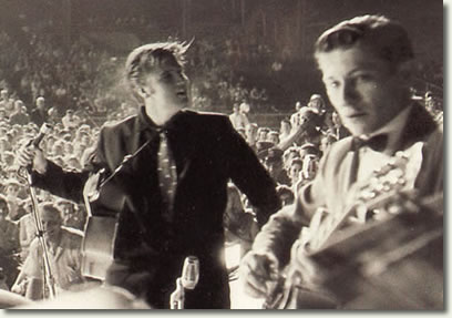 elvis