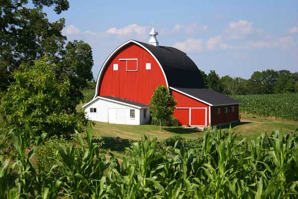 farm