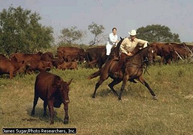 farmer