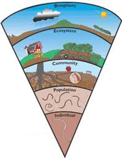 eco farming