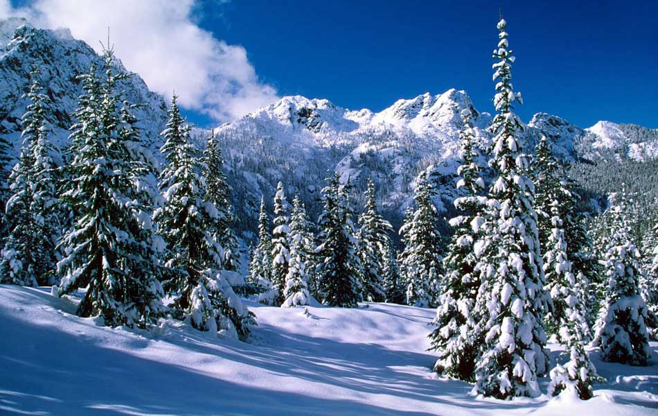 snow
