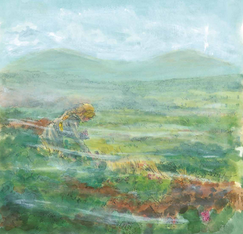 6