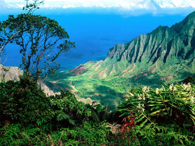 hawaii summer