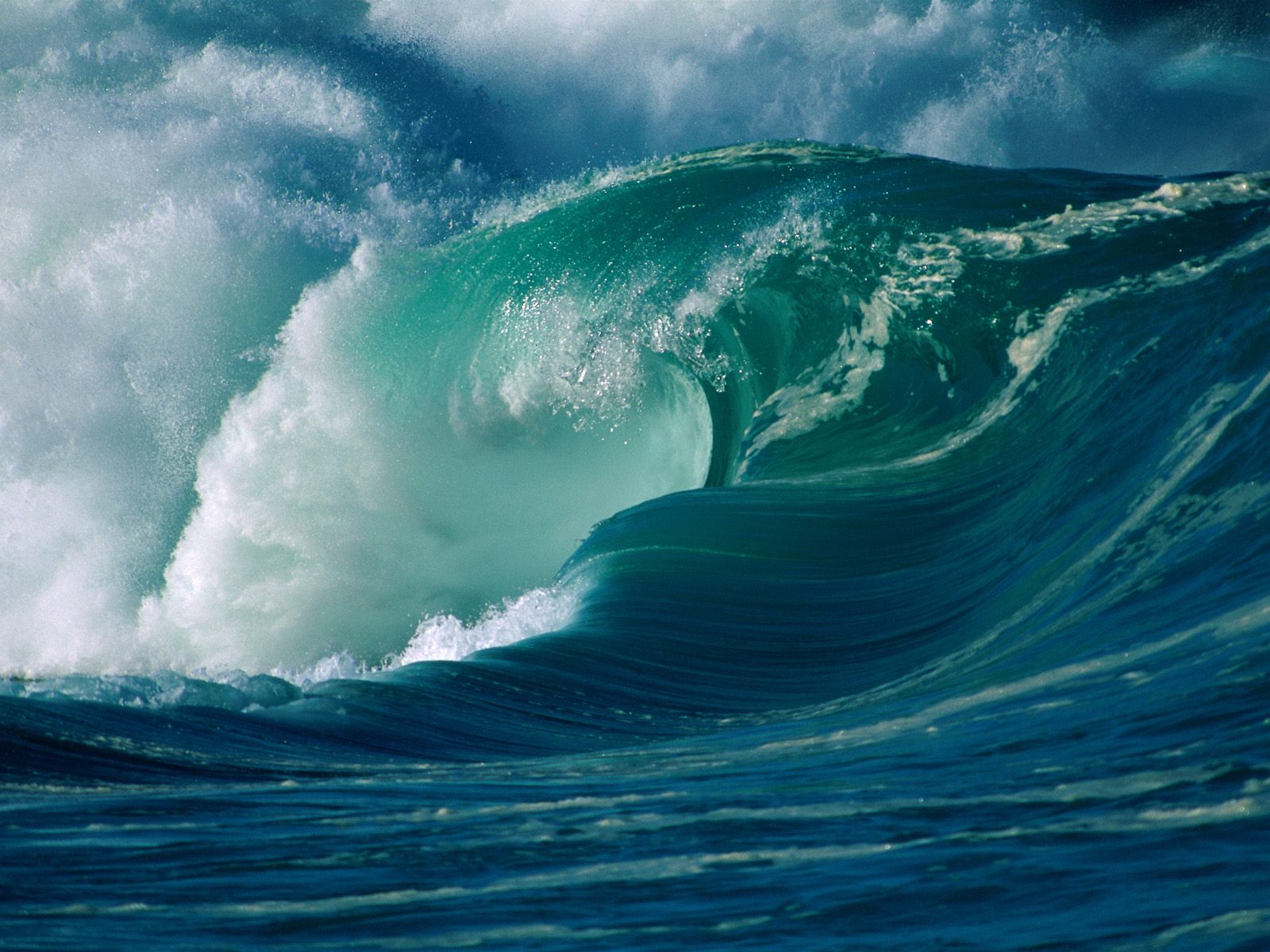 surf