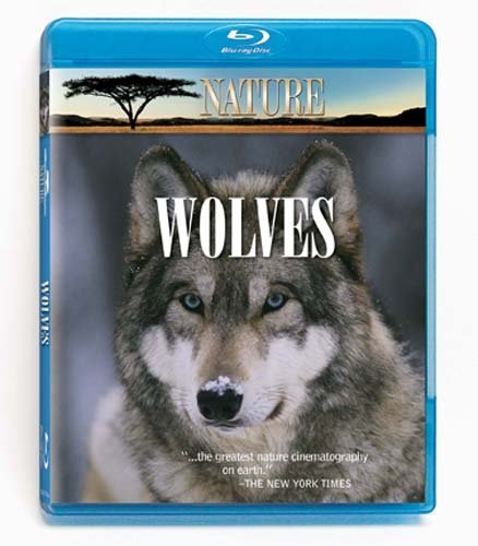 wolves