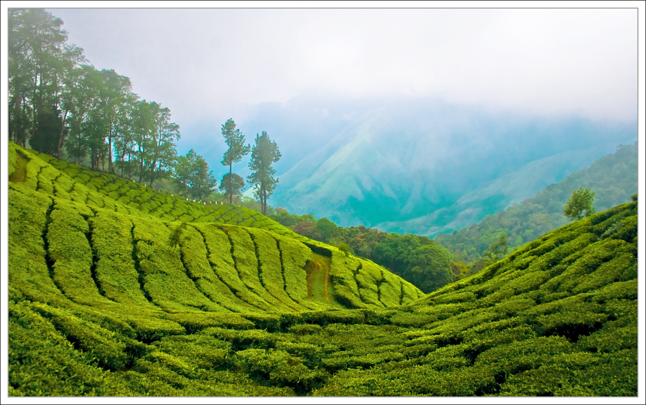 kerala