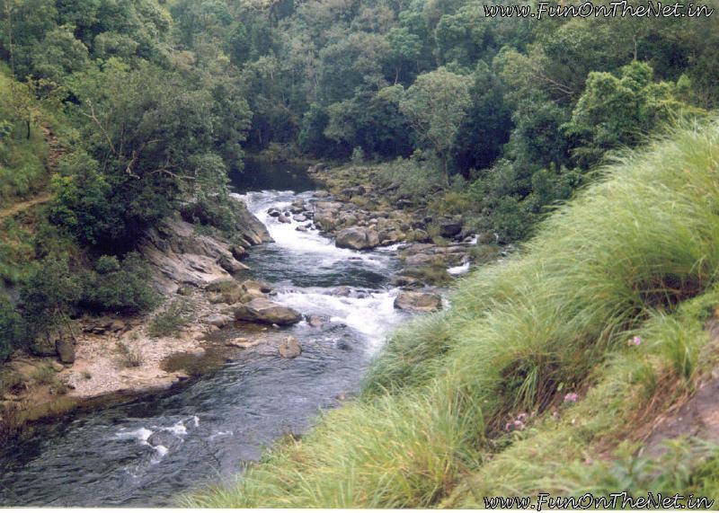 palakka